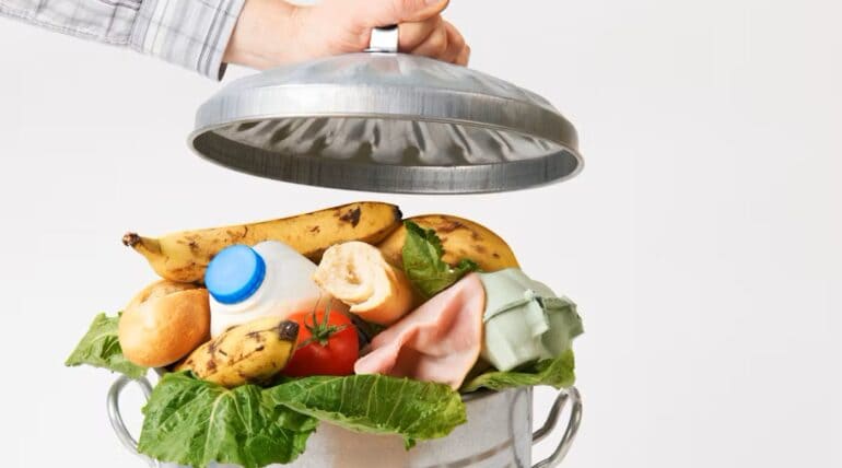 Food Waste Image